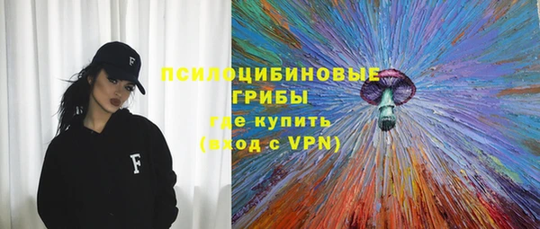 дурь Аркадак