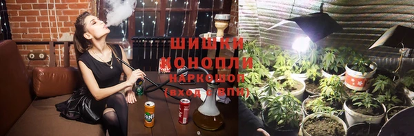 прущие грибы Пестово