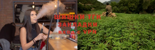 СК Пересвет