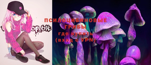 дурь Аркадак