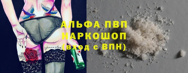 СК Пересвет
