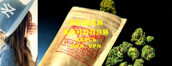 прущие грибы Пестово