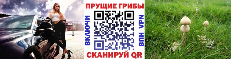 гидра вход  Похвистнево  Псилоцибиновые грибы мухоморы 